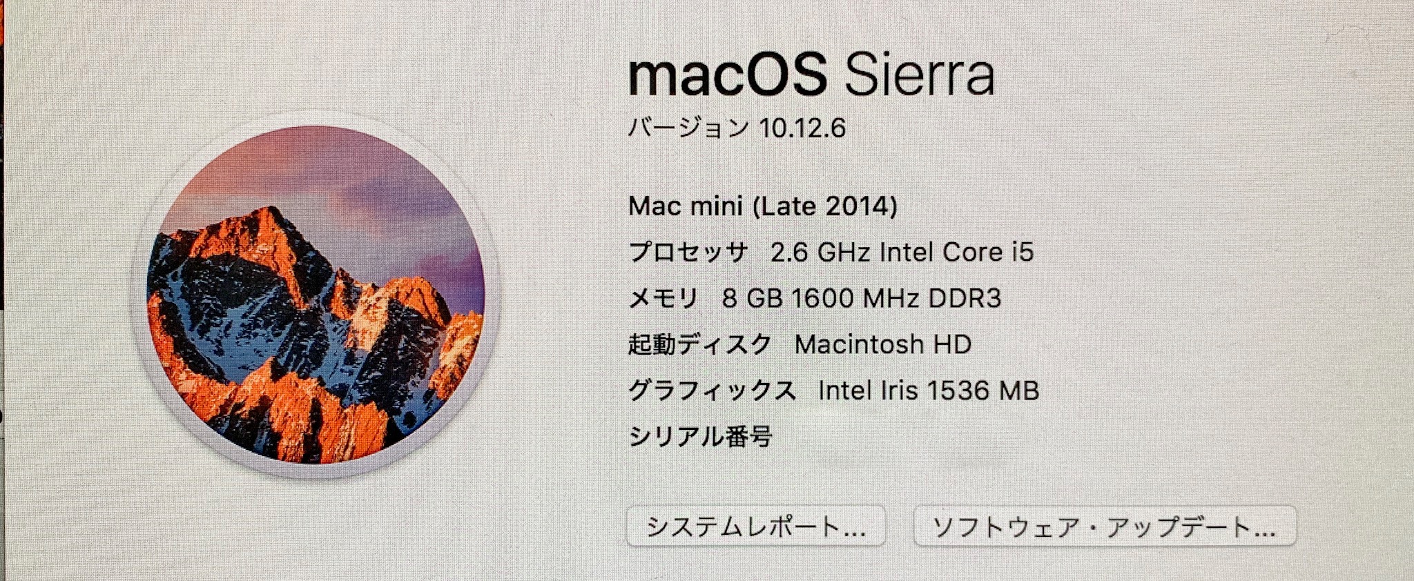 超遅いMac mini（Late 2014）にあることをしたら超快適になりました。